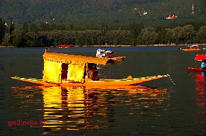 Dal Lake Sikara at Srinagar